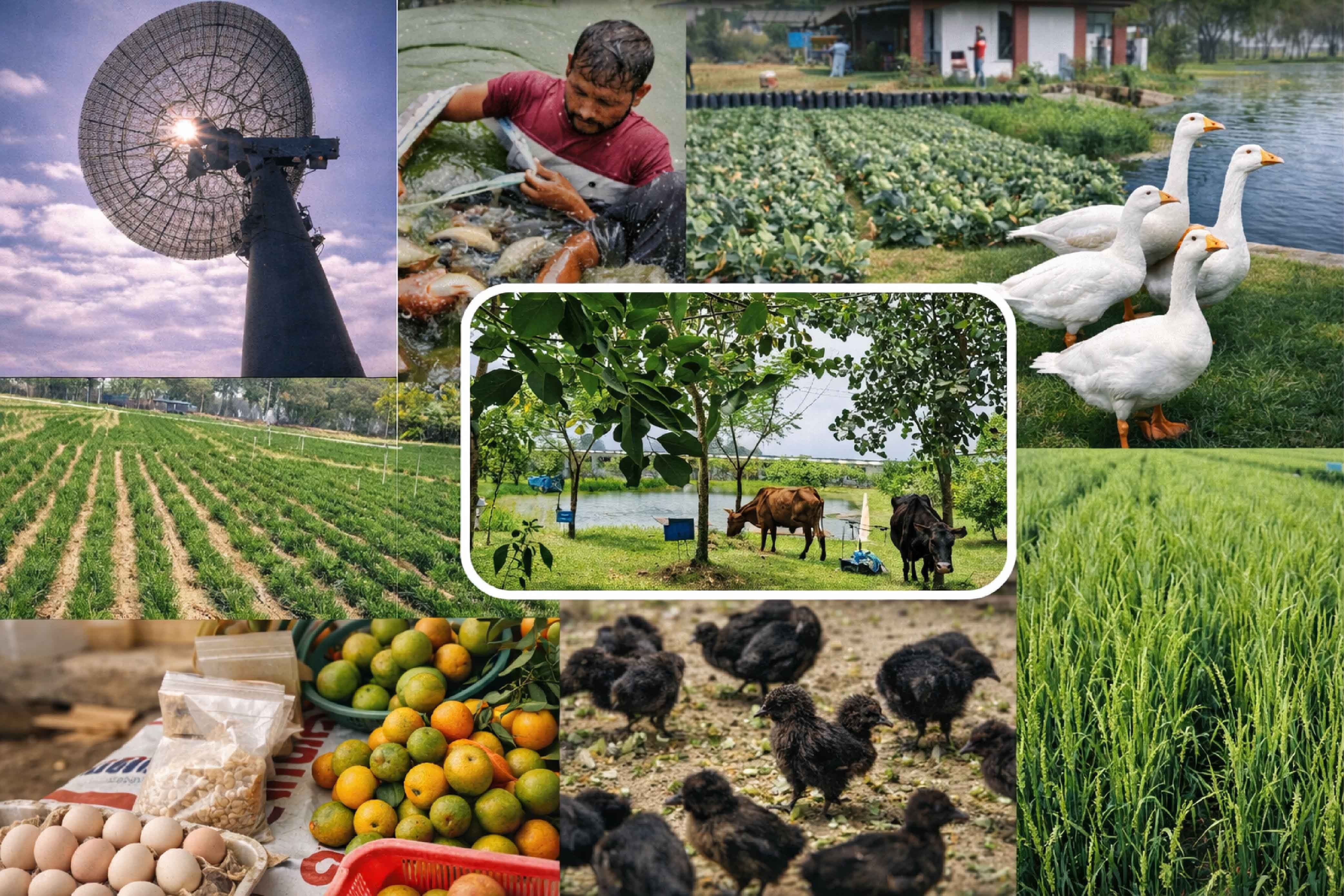 About Climate-Smart Agriculture